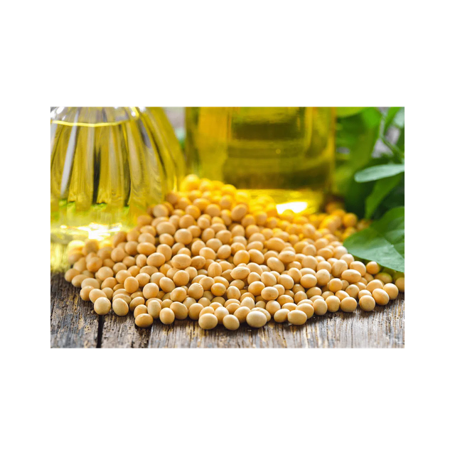 Soybean Oil in Transparent Tank