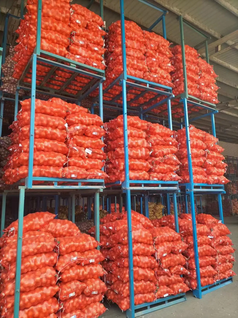 Onion & Garlic Bundle