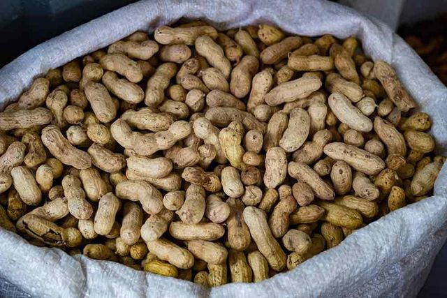 Peanuts Image 3