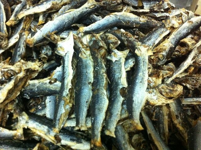 Roasted Dried Tobiuo