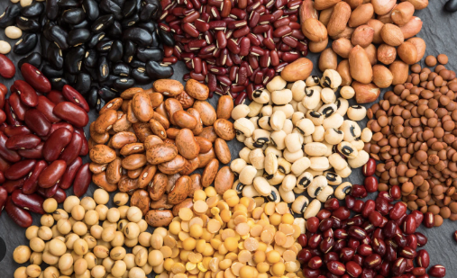 Long shape kidney beans in natural light