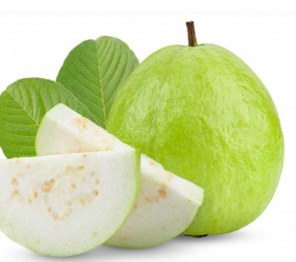 Guava Product 1