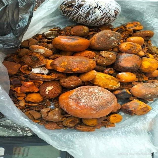 Ox Gallstone Close-up