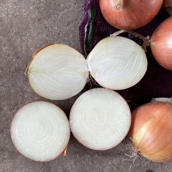Red Onion
