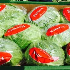 Fresh Witloof Chicory