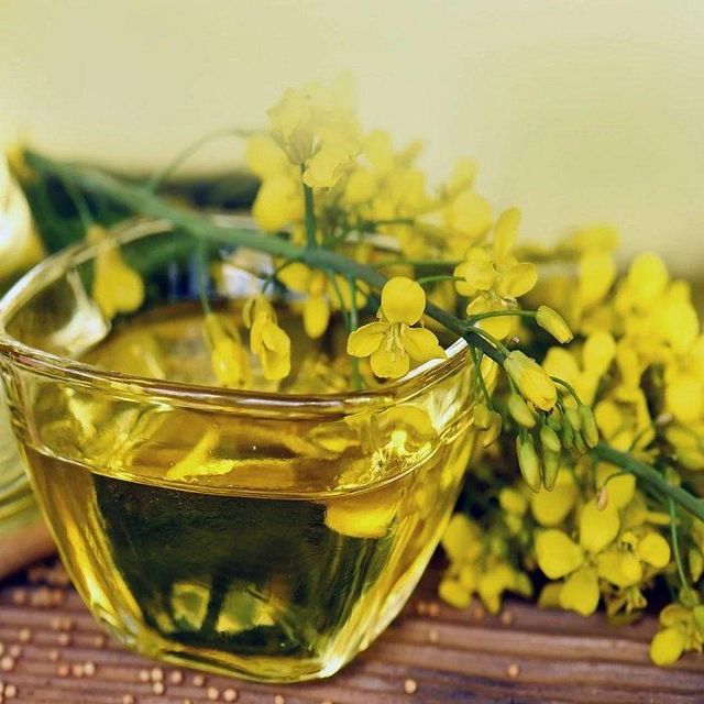 Canola Oil Storage