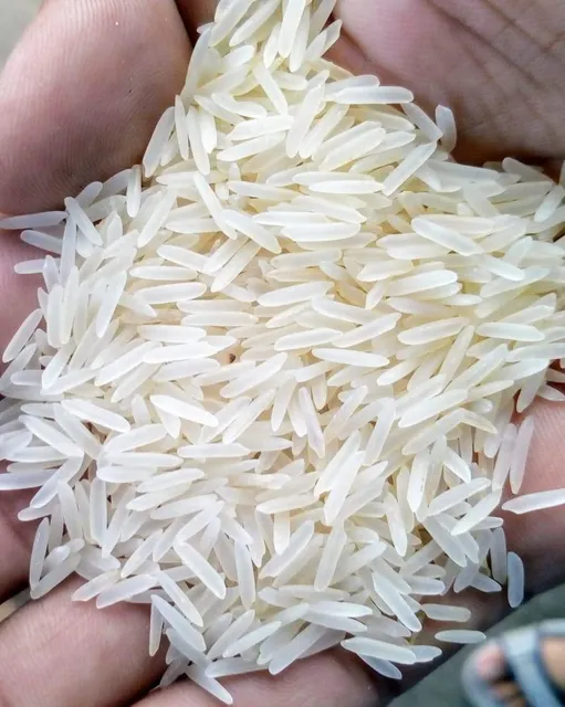 1121 Steam Long Grain Basmati Rice - Image 3