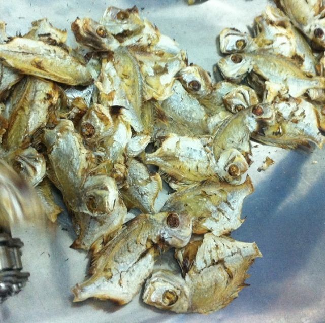 Hirekodai Dried Product