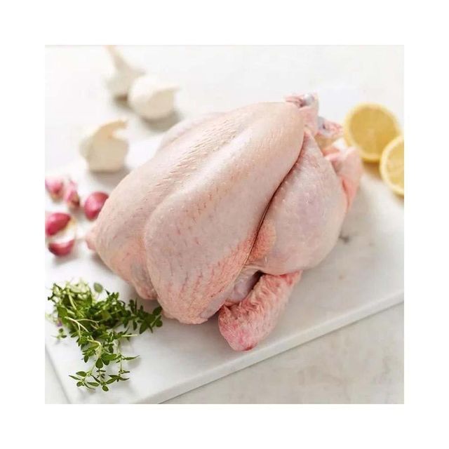 Premium Chicken Product