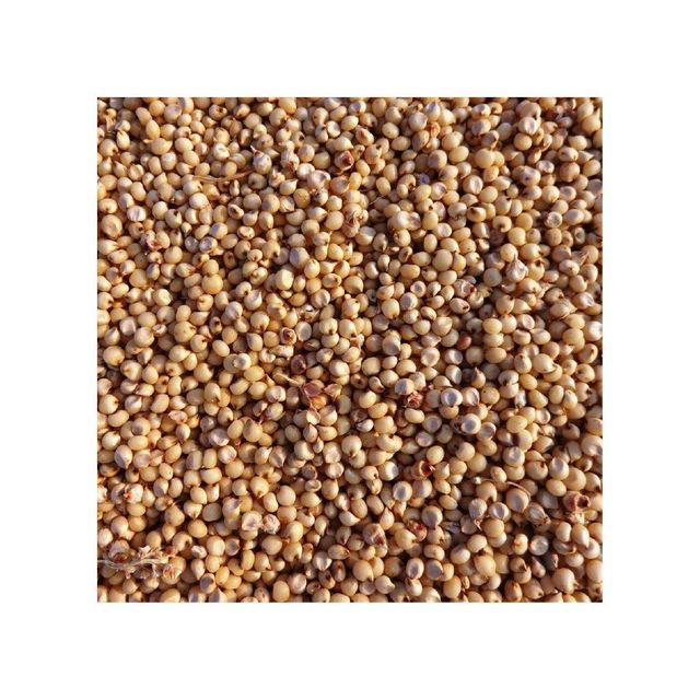 Sorghum Grains - Organic Grade