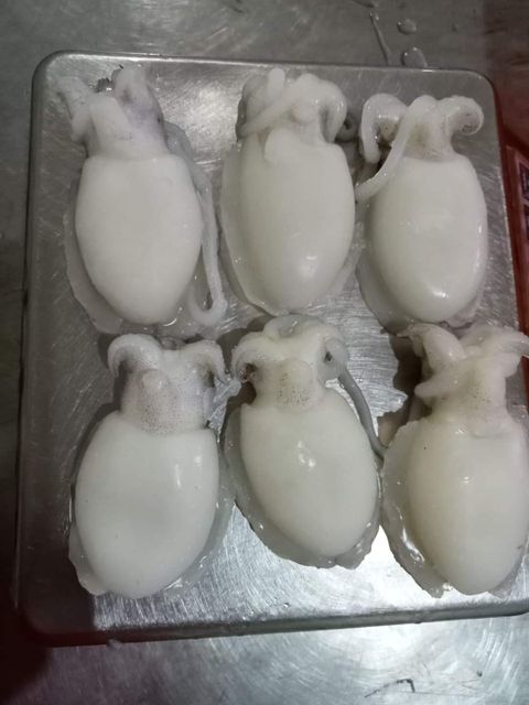 Frozen Baby Cuttlefish Whole Cleaned