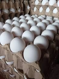 Fresh White Chicken Eggs Image 2