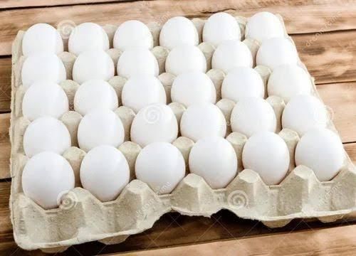 Fresh White Chicken Eggs Image 4