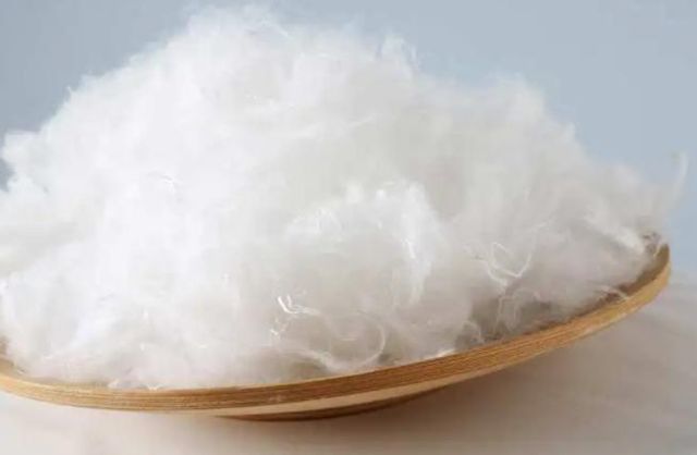 Bi-Co Polyester Fiber