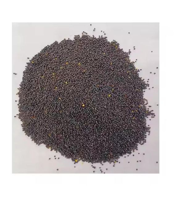 Canola Seeds Image 1