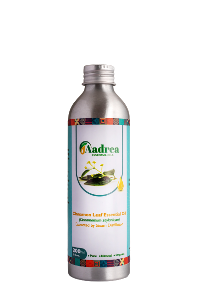 Cinnamon Leaf Essential Oil Bottle
