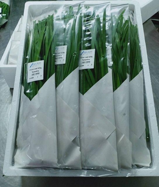Chive Leaf Product Image 2