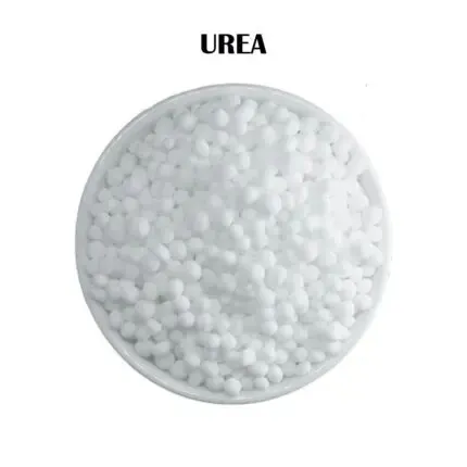 Organic Plant Fertilizer Product Image 4