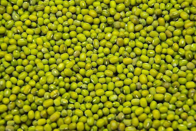 Green Mung Beans 2