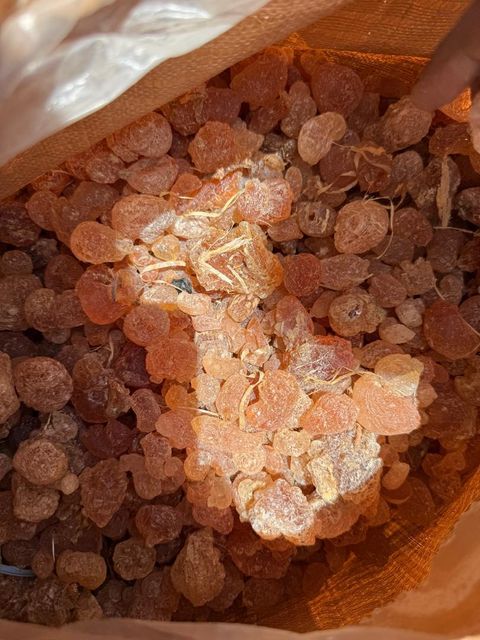 GUM Arabic Acacia Senegal - Product Image 1