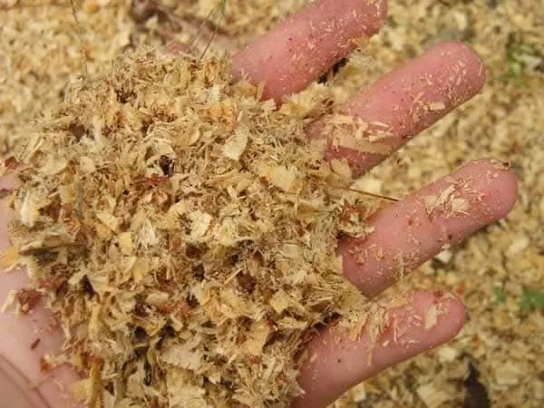 Premium Bedding Material