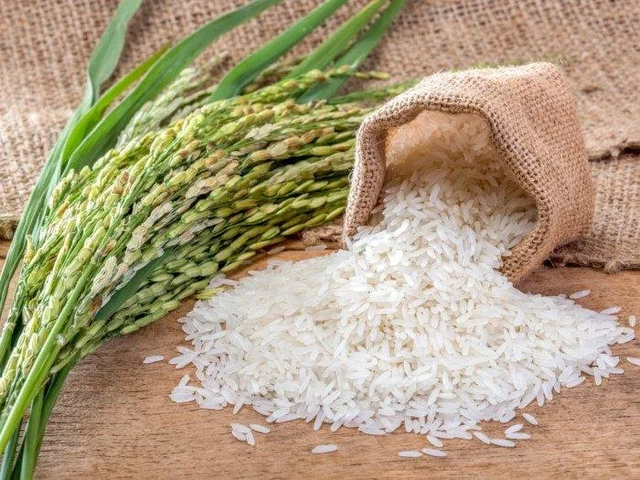 Rice Image 3