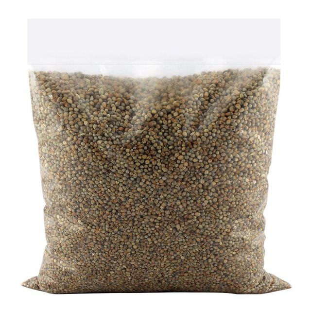Pearl Millet in Storage
