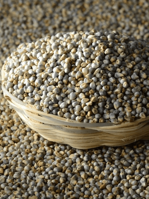 Pearl Millet Product 1