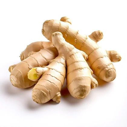 Premium Indian Ginger Root