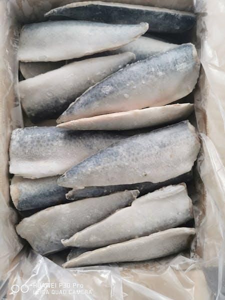 Frozen Horse Mackerel Fish Whole Round