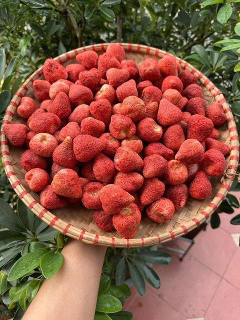 Natural Vietnam Dried Strawberry Chunk