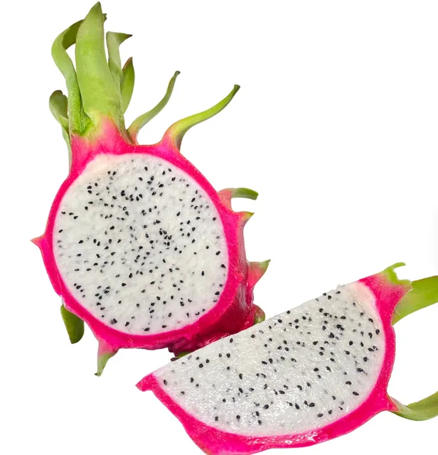 Fresh Dragon Fruit with White Sweet COMMON Cultivation