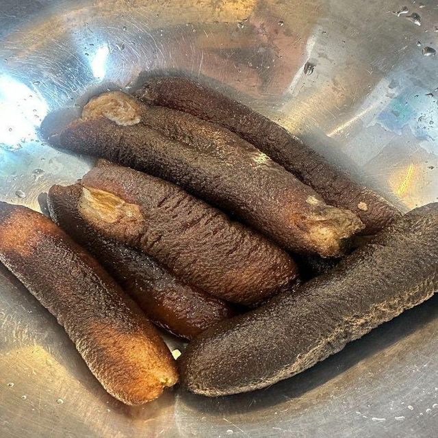 Sun-dried sea cucumber wild-caught specimen