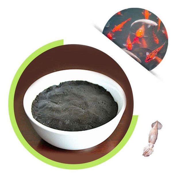 Squid Product Image 4