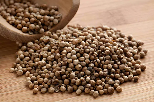 Coriander Seeds Product Image
