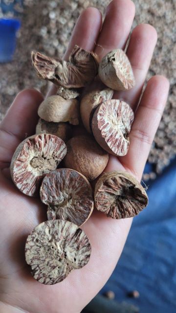 Betel Nut Product 3