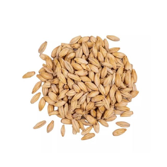 Premium Barley Feed for Animals
