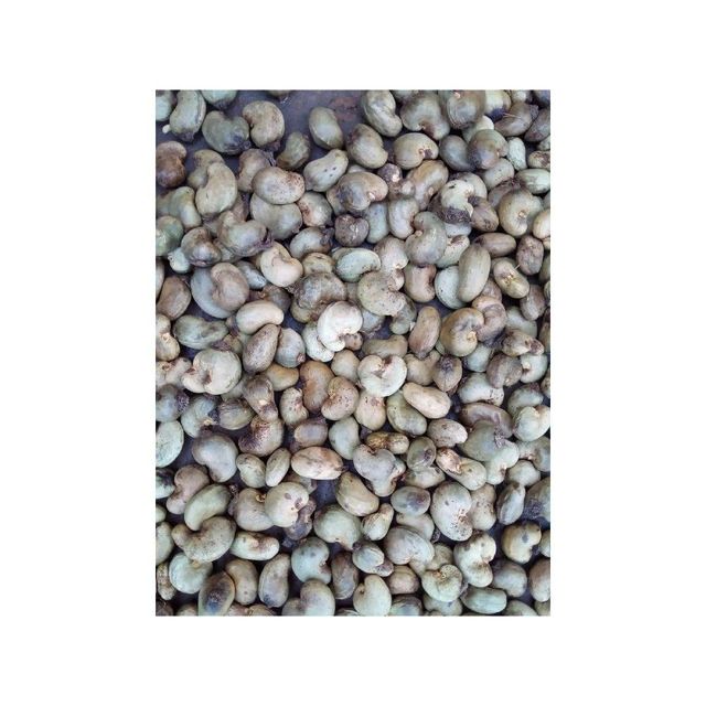 Raw Cashew Nut Image 2