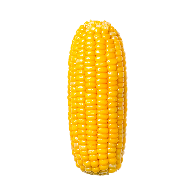 Yellow corn in bulk container