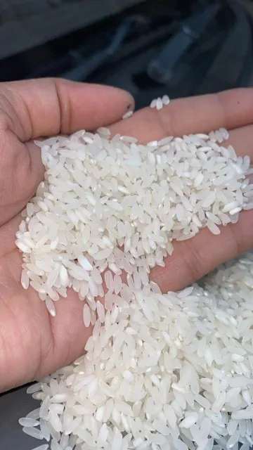 Swarna Rice 5% Broken Raw - Product Image