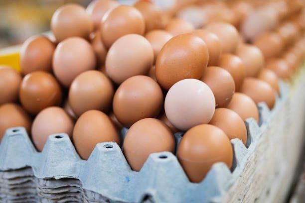 Fresh Farm Eggs Collection