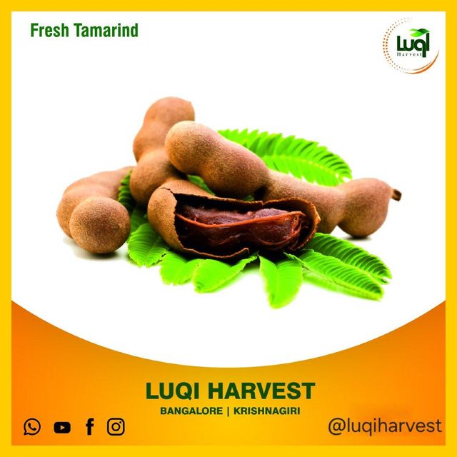 Tamarind Paste Product 3