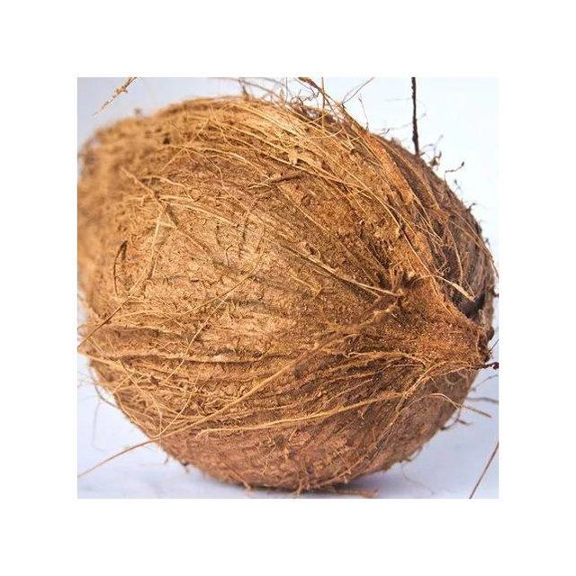 Fresh Whole Coconut Image 1