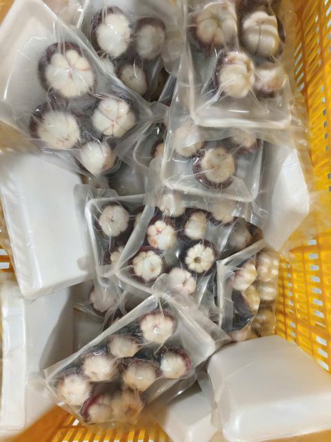 Frozen Mangosteen 5