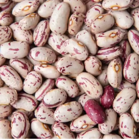 Pinto Beans in Bulk Packaging