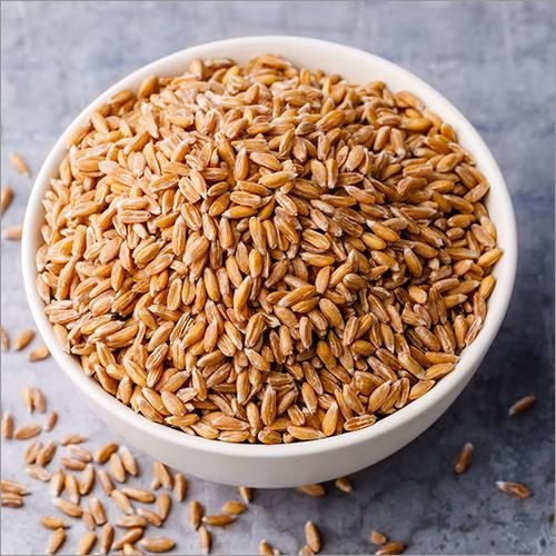 Hard Wheat Grains Image 2