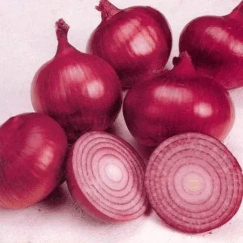 Fresh Red Onion 45mm+