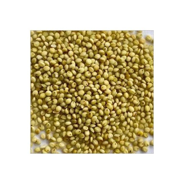 Yellow Millet 3