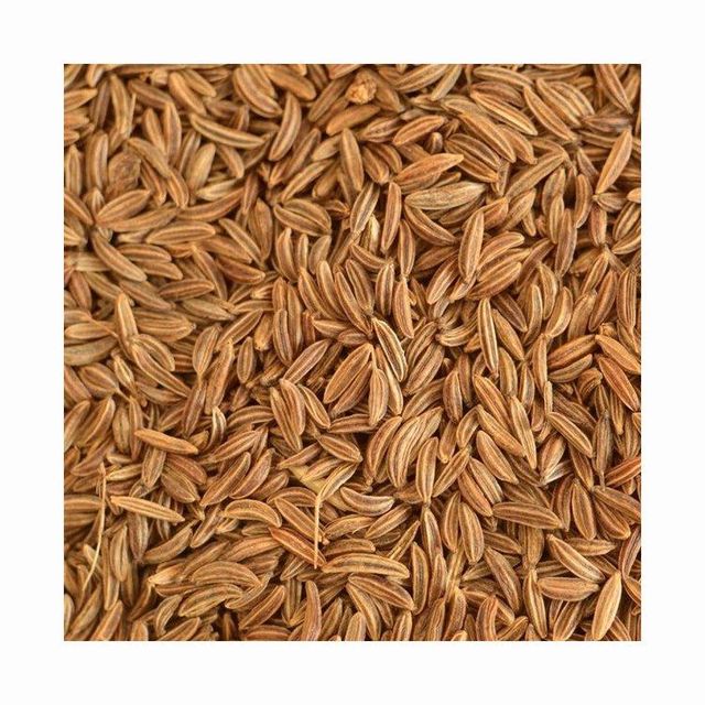 Organic Carum Carvi Caraway Extract