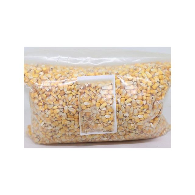 Yellow corn in bulk container